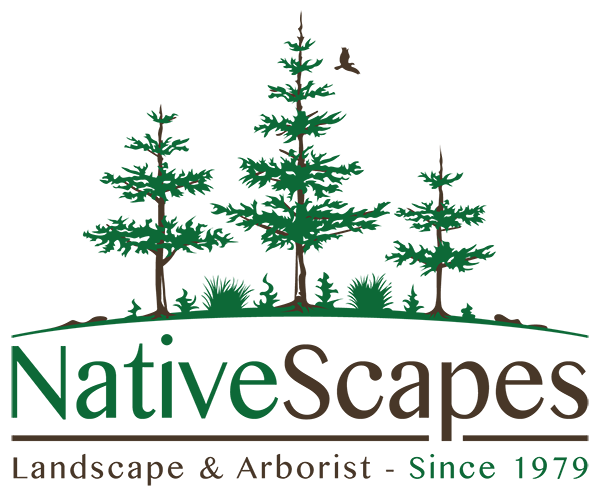 NativeScapes Landscaping