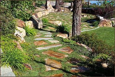 Landscaping Design, Installation and Maintenance
