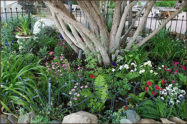 Landscaping Design, Installation and Maintenance